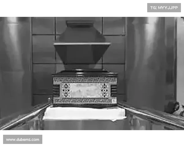 火化工的心声:面对生死,我已无感情波动(火化工视频) 火化工的心声:面对生死,我已无感情波动(火化工视频)